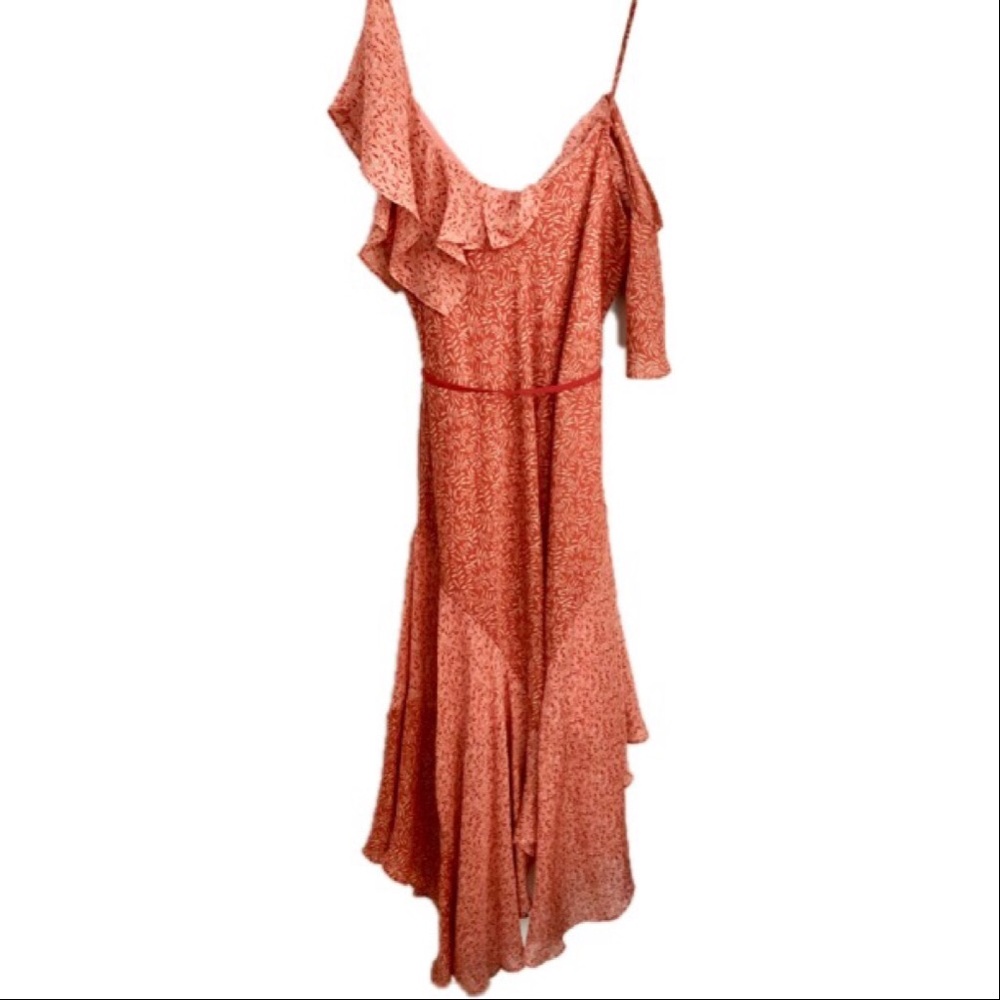 NWT [Joie] Dress WITH belt - Picture 4 of 6